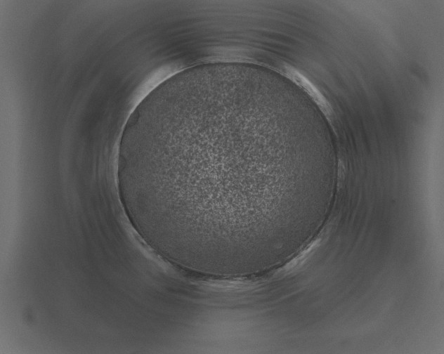 X0000116611386200912241725