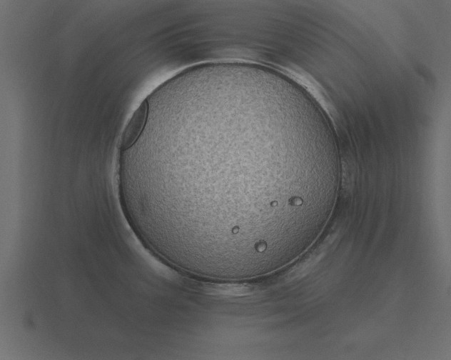 X0000116611387200912241725