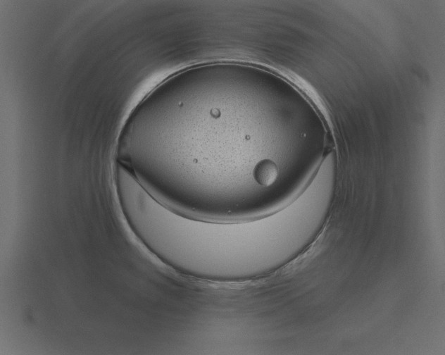 X0000116611389200912241725