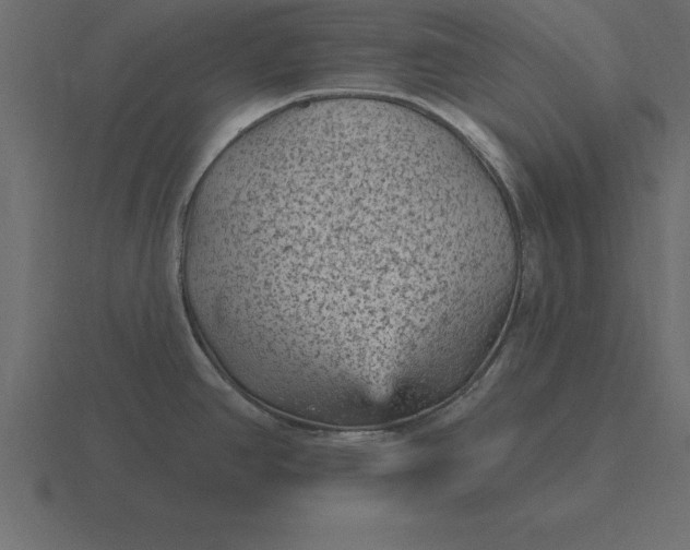 X0000116611390200912241725