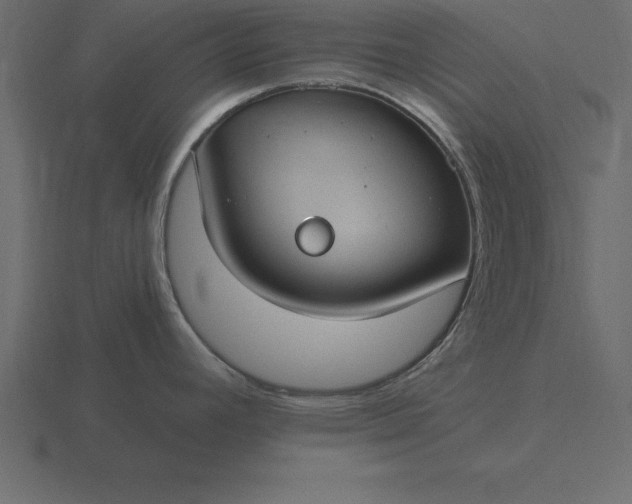 X0000116611392200912241725