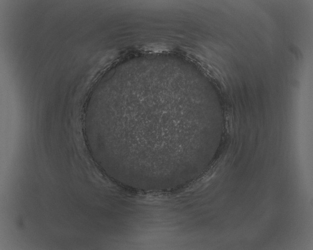 X0000116611393200912241724