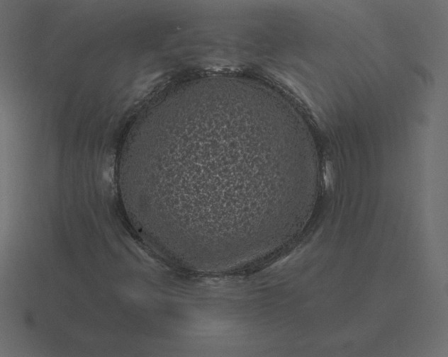 X0000116611396200912241724