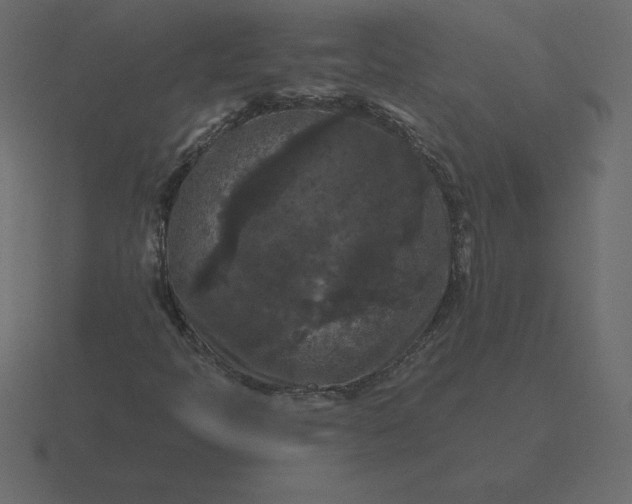 X0000116611397200912241724