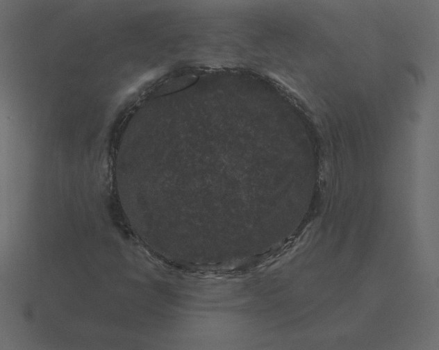 X0000116611398200912241724