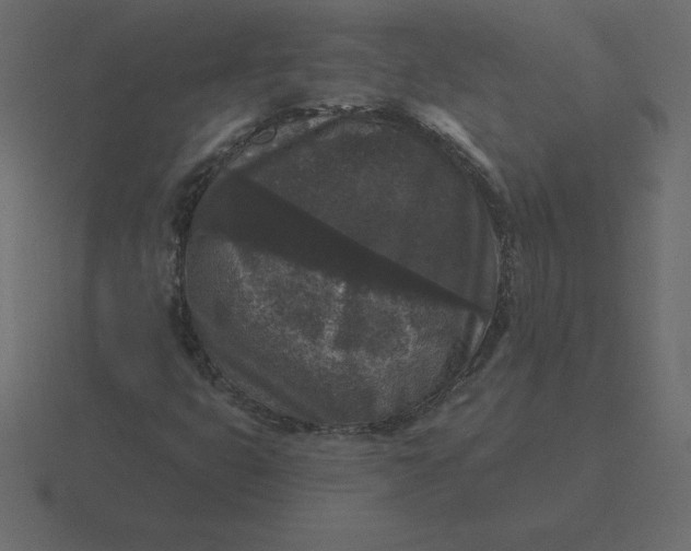 X0000116611399200912241724