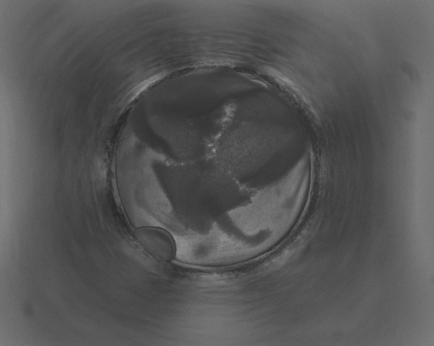 X0000116611401200912241724