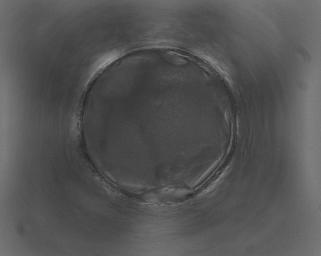 X0000116611405200912241724