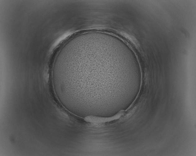 X0000116611406200912241724