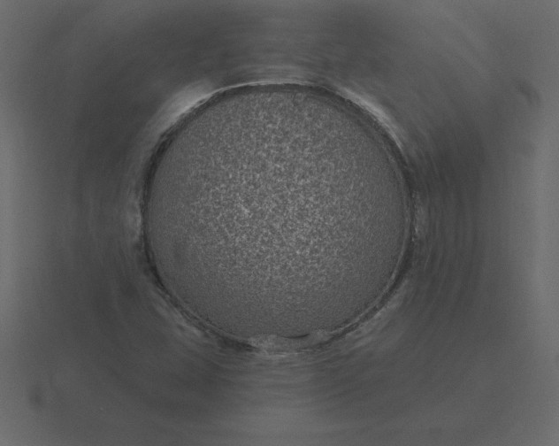 X0000116611407200912241724