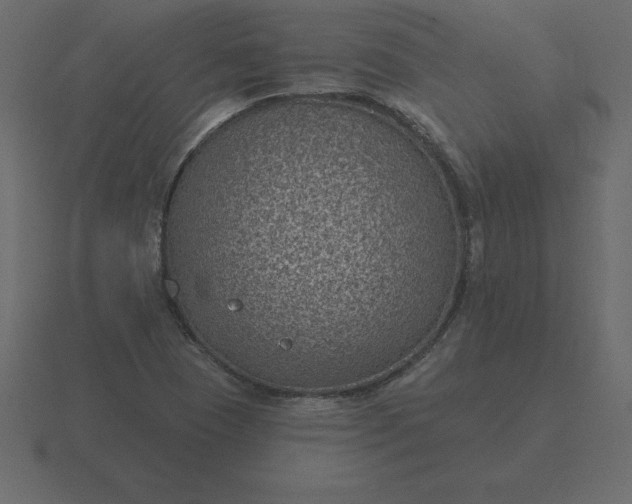 X0000116611409200912241724