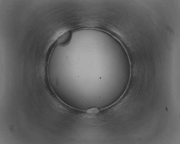 X0000116611410200912241724