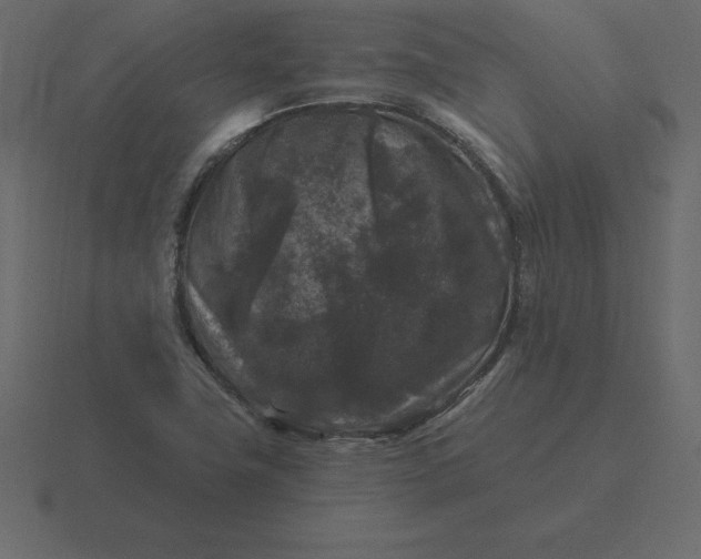 X0000116611411200912241724