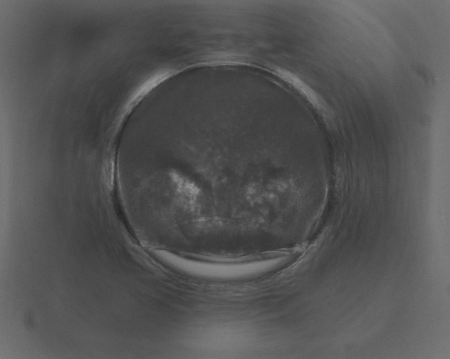 X0000116611413200912241724