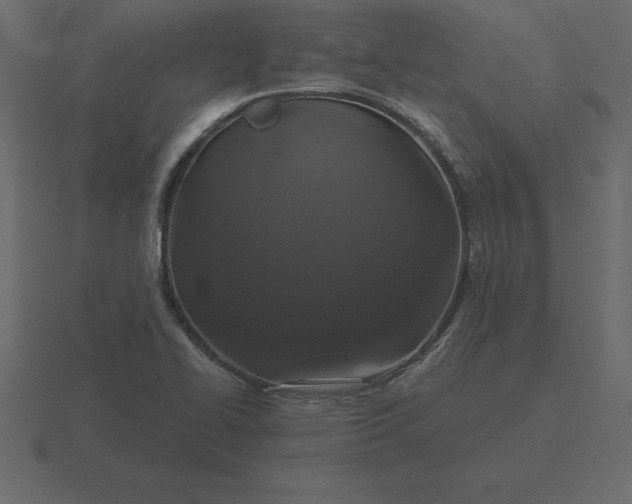 X0000116611414200912241724