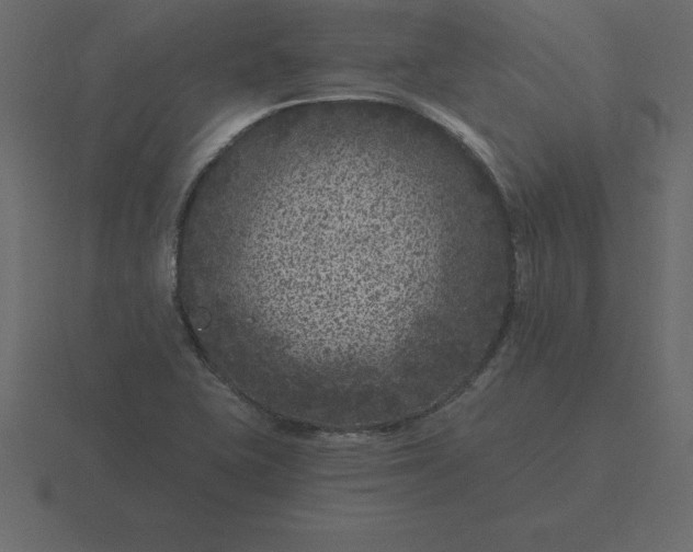 X0000116611415200912241724