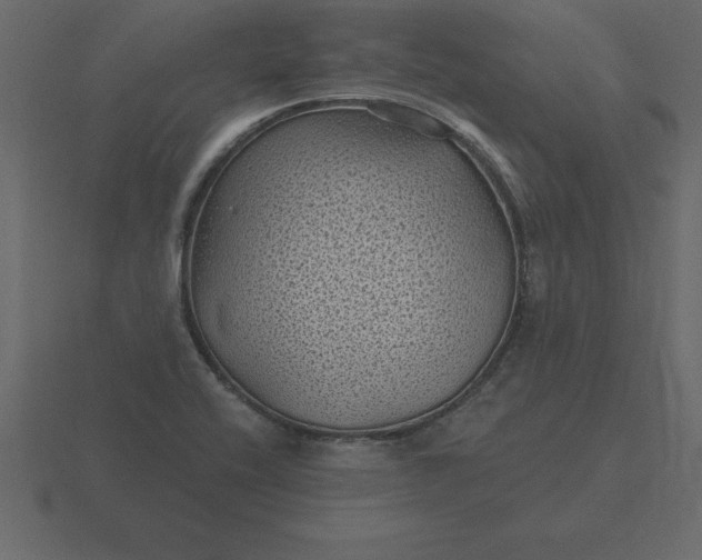 X0000116611416200912241724