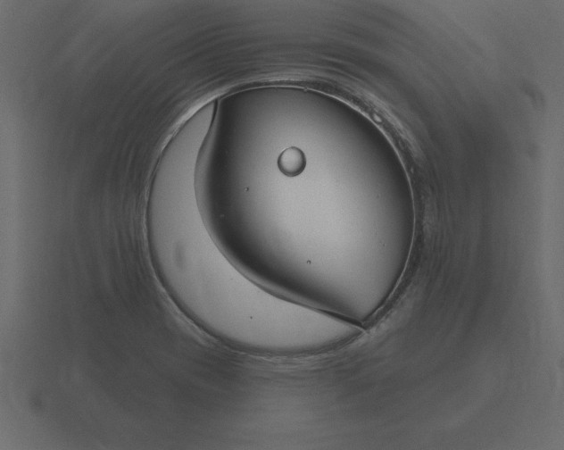 X0000116611417200912241724