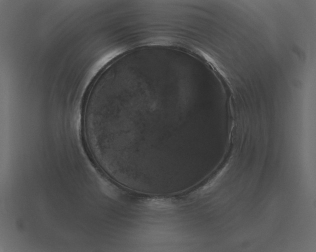 X0000116611418200912241724