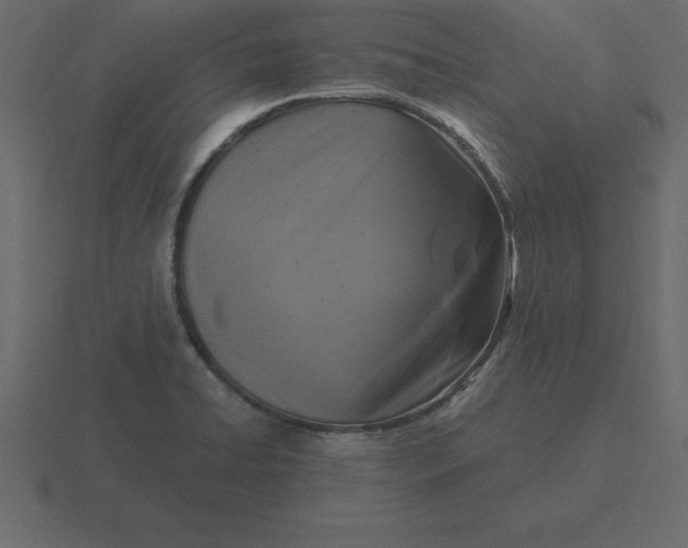 X0000116611422200912241724