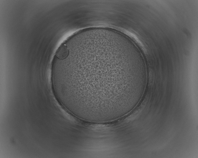 X0000116611424200912241724