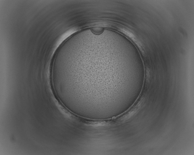 X0000116611426200912241724