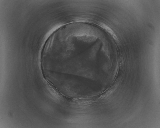 X0000116611427200912241724