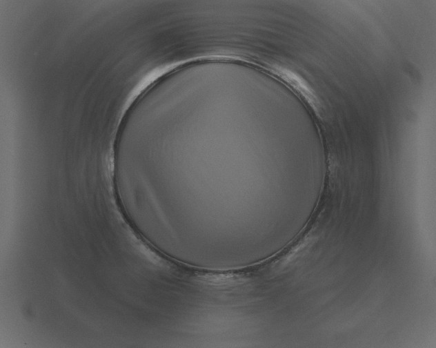 X0000116611428200912241724