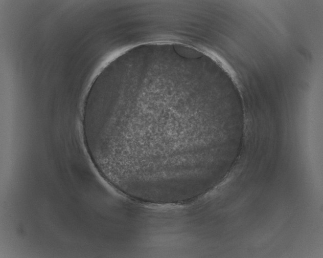 X0000116611429200912241724