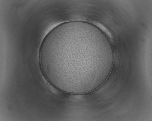 X0000116611431200912241725