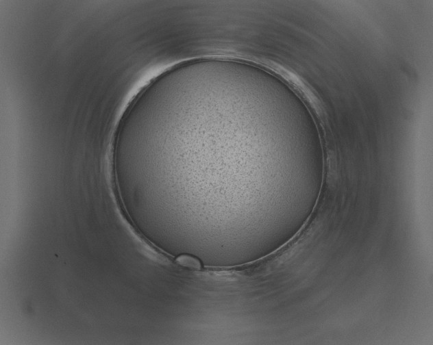 X0000116611432200912241725