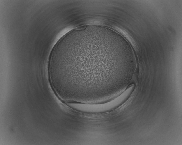 X0000116611434200912241725