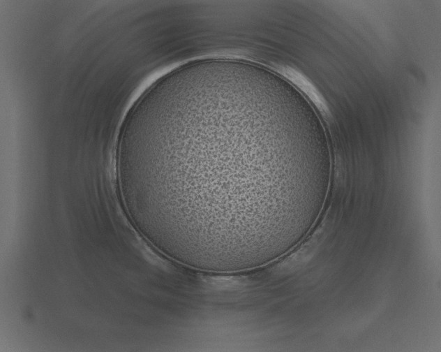 X0000116611436200912241725