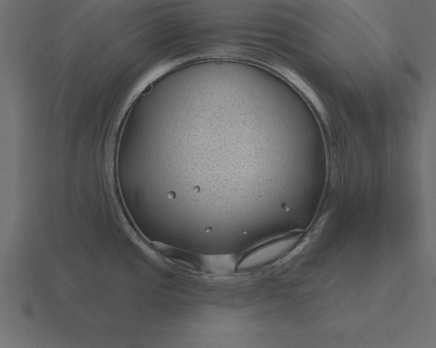 X0000116611437200912241725