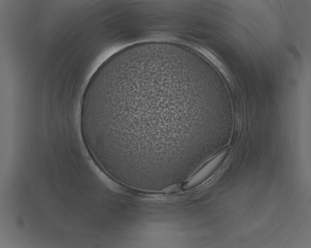 X0000116611438200912241725