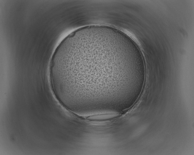 X0000116611440200912241725