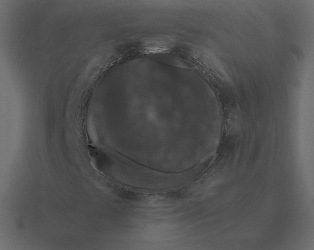 X0000116611441200912241724