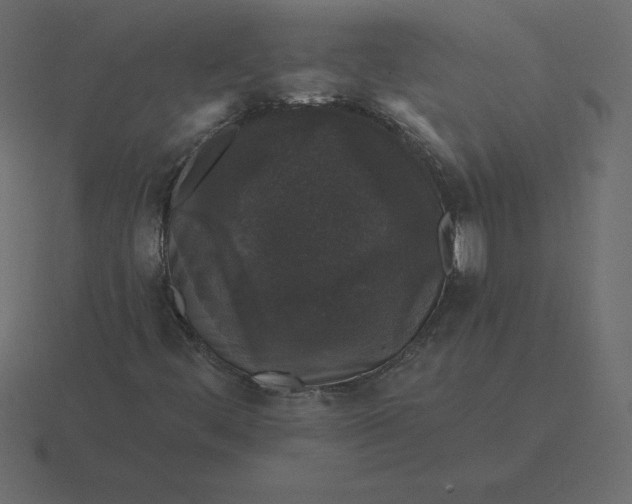 X0000116611444200912241724