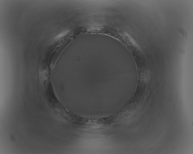 X0000116611445200912241724