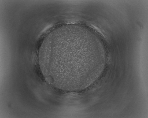 X0000116611446200912241724