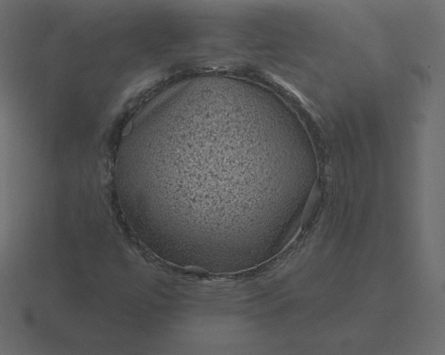 X0000116611447200912241724