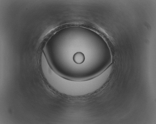 X0000116611448200912241724