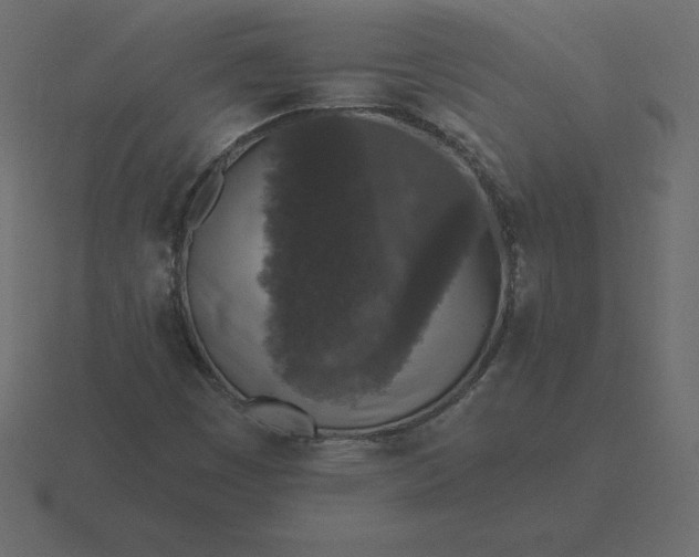 X0000116611449200912241724