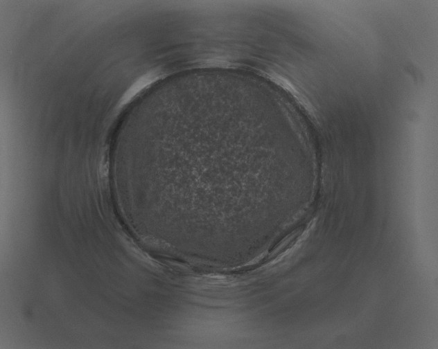 X0000116611450200912241724