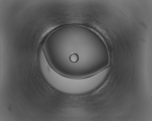 X0000116611453200912241724