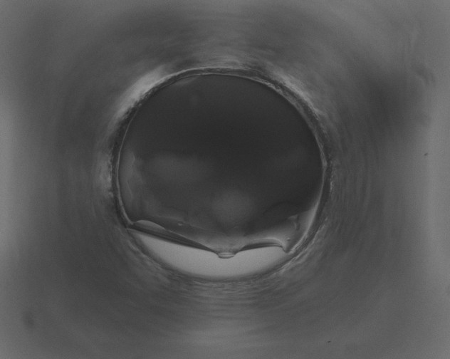 X0000116611455200912241724