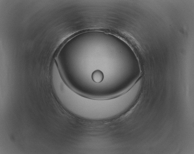 X0000116611457200912241724