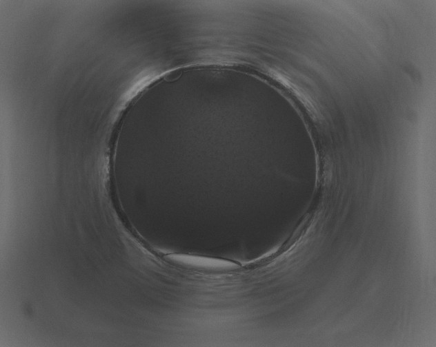 X0000116611459200912241724