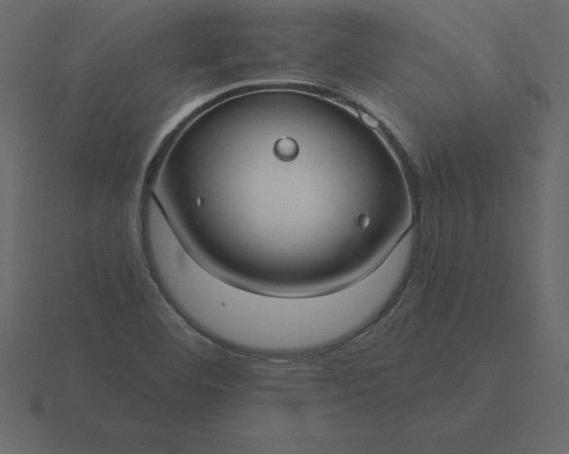 X0000116611460200912241724