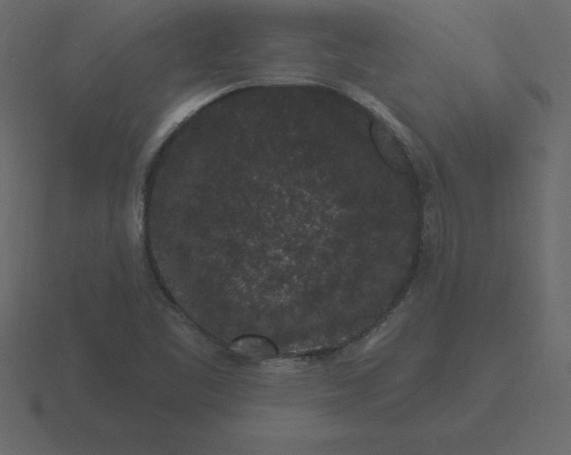 X0000116611461200912241724